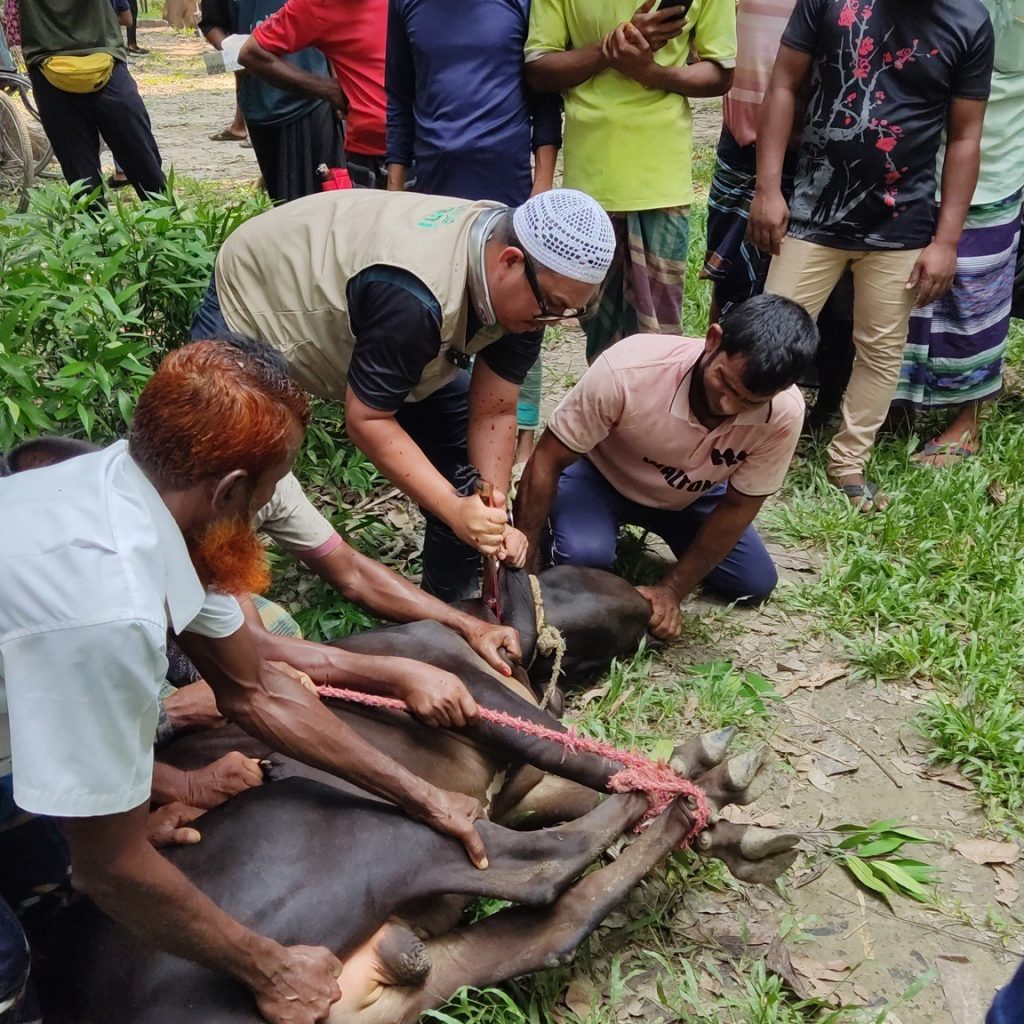 505439610 1039350894976051 6166809709270614121 n