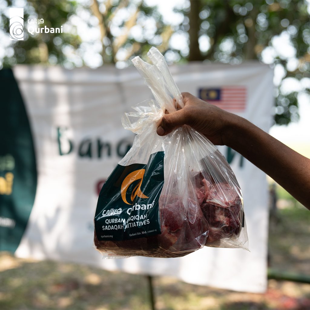 509422369 1047352117509262 6983577629496536893 n