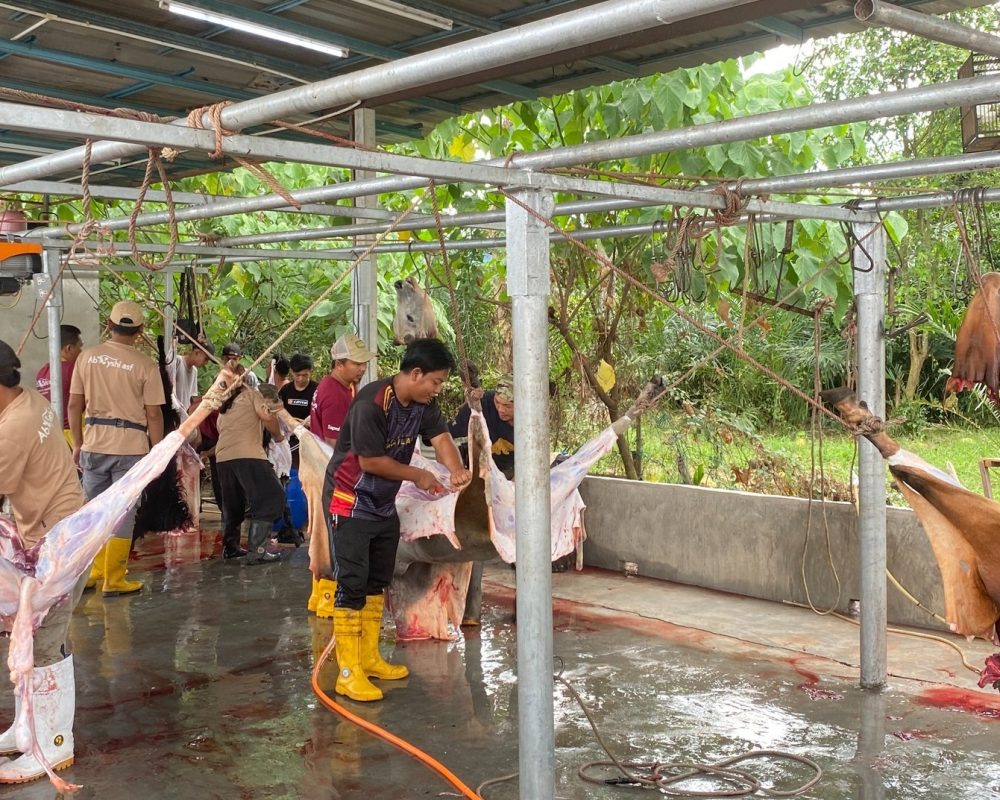 505246837 1039488158295658 1257241072087122089 n