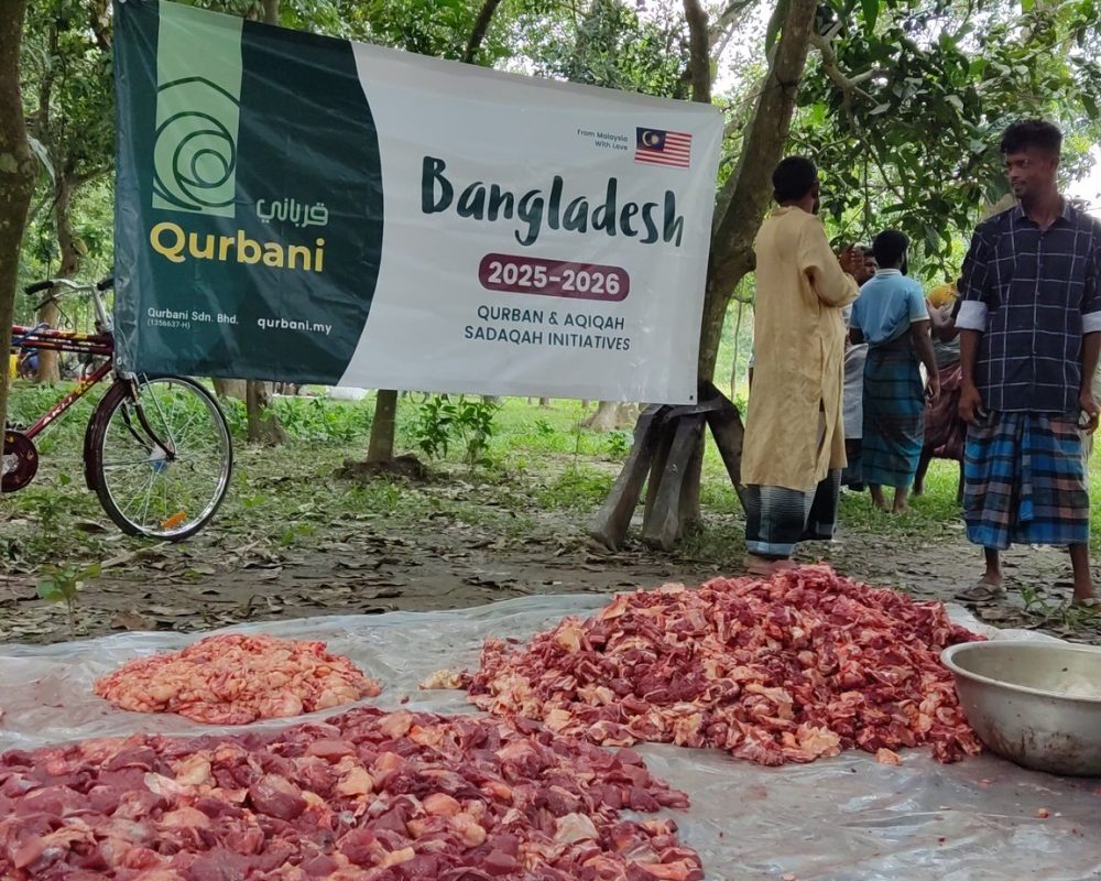 505389537 1039342751643532 7581726468055879533 n