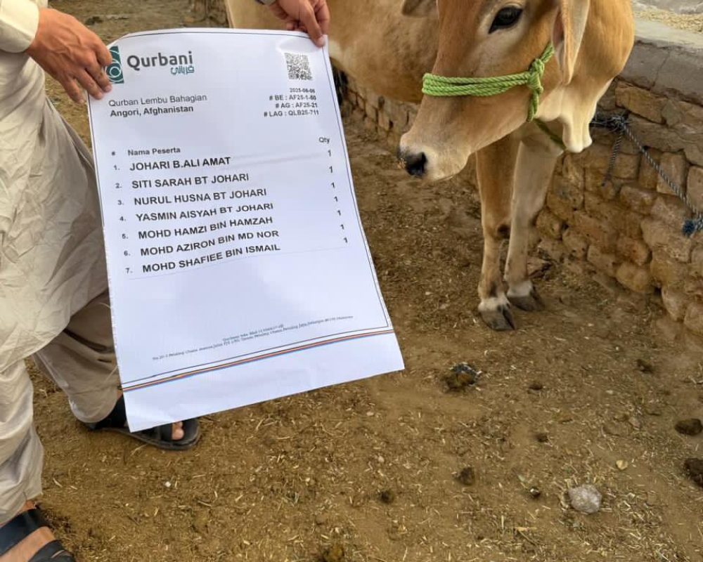 505615724 1039482411629566 7232918219084516946 n