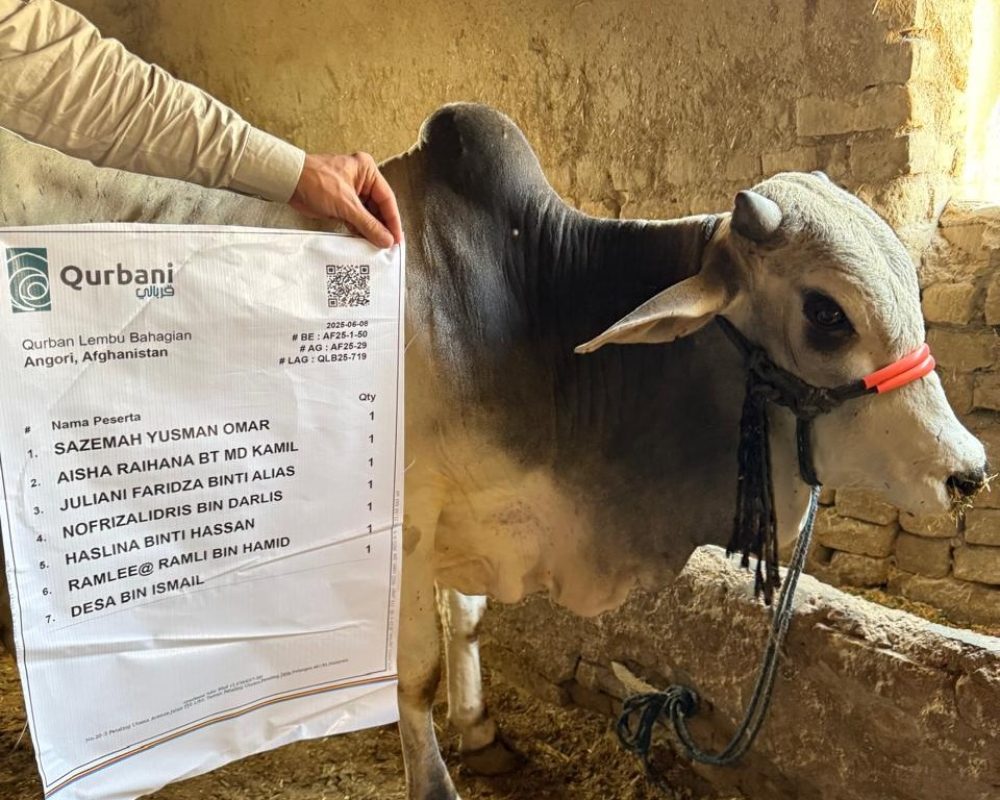 505913564 1040316488212825 7104920797932358429 n